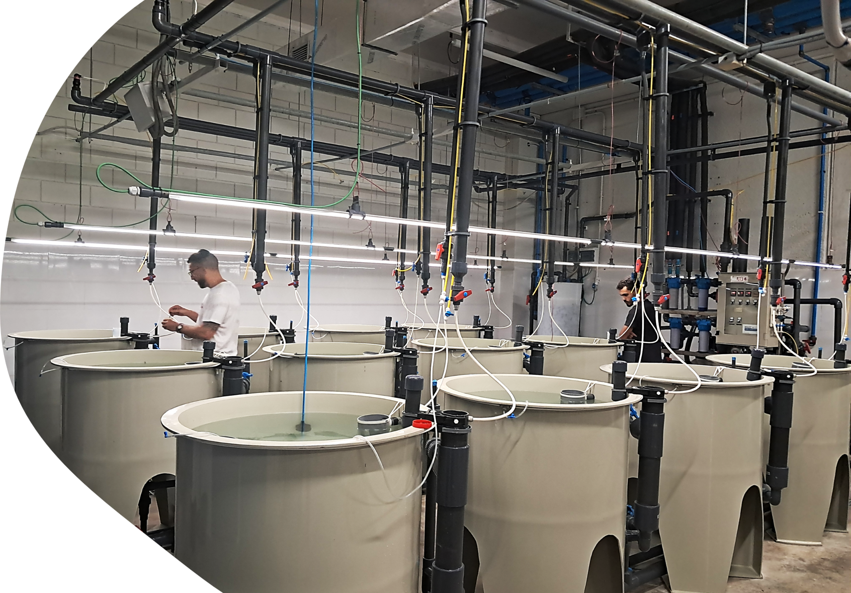Featured Post Image - IRTA Opens a State-of-the-Art Larval Rearing Unit in La Ràpita